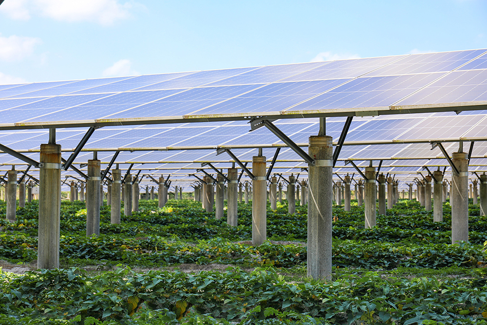 1684221049843094444.jpg 大唐文昌翁田农光互补+储能示范项目.jpg