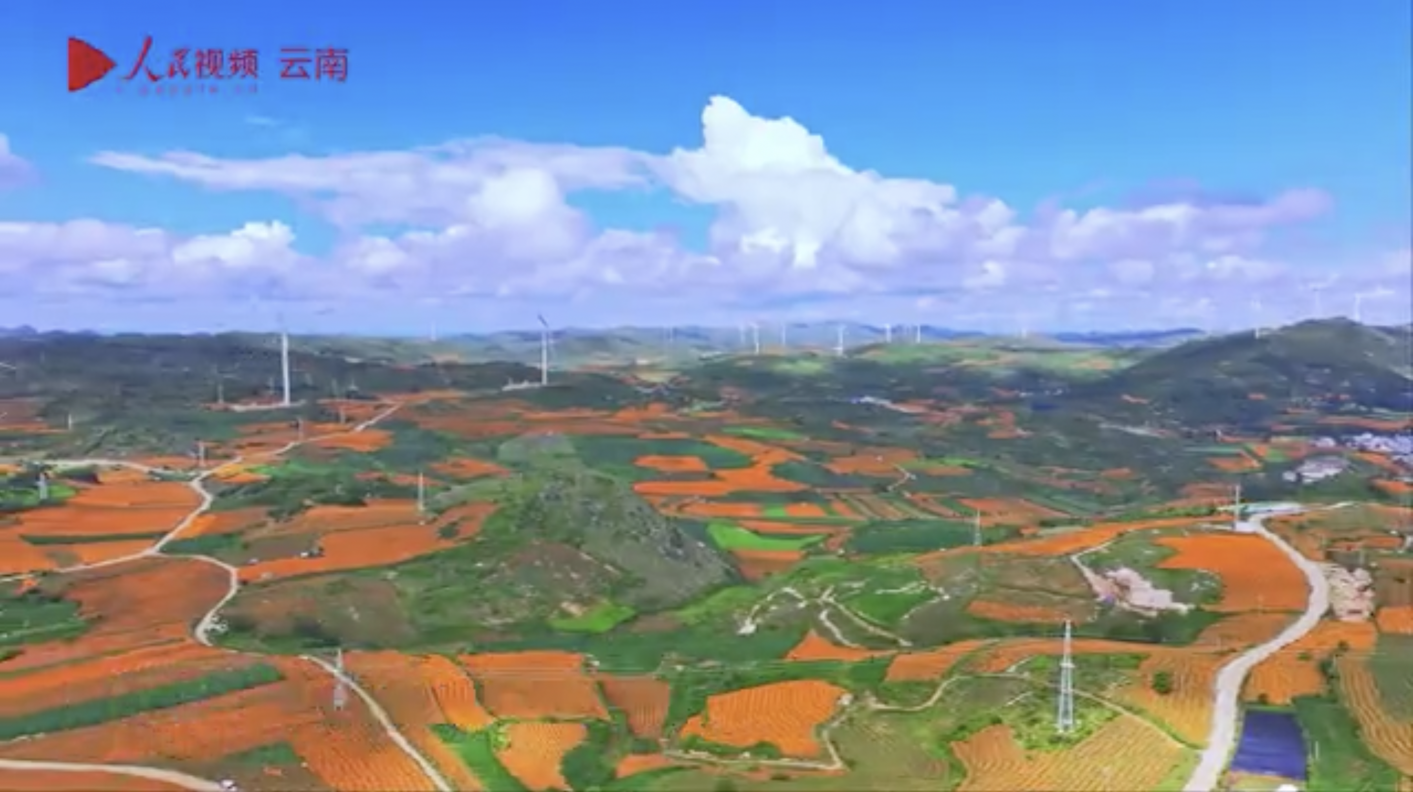 1728543862559096088.png 3.png